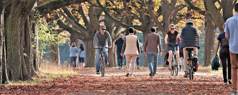 Fitness-Fans genießen eine Radtour im Herbst durch einen Park mit alten Bäumen und Blättern.