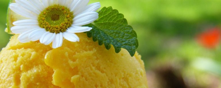 Gelbes Sorbet mit Blüte und Blatt – erfrischend und gesund für dein Training.