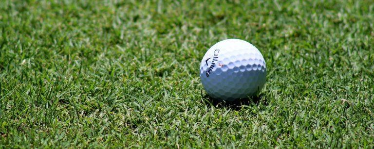Golfball im Gras: Ideale Trainingsbedingungen für Fitness und Ernährung.