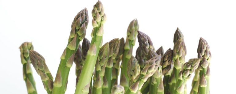 Frisches, grünes Spargel-Bund, perfekt für gesunde Fitness-Mahlzeiten und eine ausgewogene Ernährung.