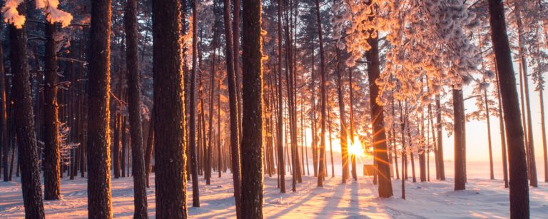 bf_5_minuten_licht_challenge